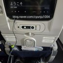 457 | [항공]KE457 인천->다낭, 이코노미 29F 후기.