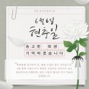 리체움교육 이미지