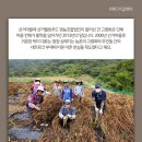 선거웰빙 영농조합법인 이미지