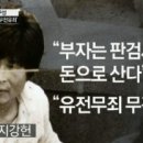 관대모터스 이미지