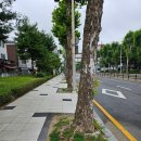 대산로 이미지
