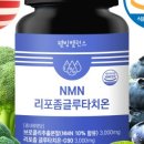 앰엔샵