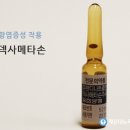 뉴욕치과 이미지