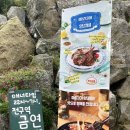 녹천캠핑 이미지