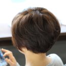샤이닝헤어뷰 네이버블로그