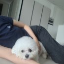 [임신 일기] P04. 임신 15주차~임신 20주차