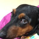 자인계정숲 이미지