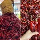 성미농장 이미지