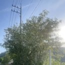 국토종주 2.5차 오천자전거길..144km 이미지