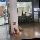 명동미용실 이미지