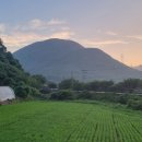 덕산가축병원 이미지