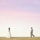 오르 | W2. 본식 스냅 + DVD : 오르비아트 계약후기