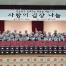 인삼사랑 충청탑뉴스