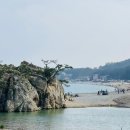 해송 스테이 이미지