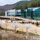 문화체육시설사업소(공공시설사업소) 이미지