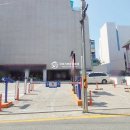 강남-250 이미지