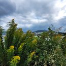 대저생태공원 이미지