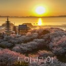 (주)아담소프트 이미지