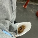 세븐일레븐 달서성당점 이미지