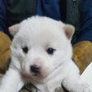장당길 이미지