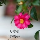 성자 이미지