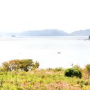 삼봉1교 이미지