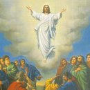 2023년 4월 9일 주일 오후예배 마태복음 28장 1~15절 부활의 증인으로 사십시다 이미지