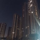 양심부동산중개 이미지