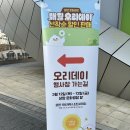 상암 문화광장 매월 오리데이 2026 후기｜상암 MBC 앞 훈제오리 1kg 15,000원 행사 재방문