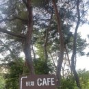 [광주/진곡동] 수국 꽃이 예쁜 대형카페 “비채카페” 후기