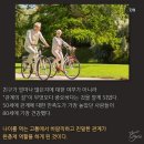 비타민의원 이미지