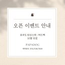 파파독 동해 네이버블로그