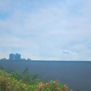 태릉마이크로의원 이미지