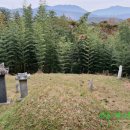 여암 신경준 묘역 이미지