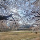 동아공인중개사사무소 | 실제 가치로 승부하는 동아아파트매매, 장암동 동아탑플러스공인중개사사무소에서 신뢰를 찾다
