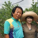 대환 농장 이미지