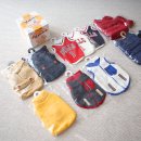 스타일 멍멍 이미지