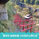 동두천 일본마을 니지모리스튜디오 아키마츠리 가을축제 진행중(주차 식당 할인 기모노 등)
