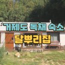 달뿌리집 네이버블로그