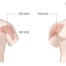 럭키 짐 이미지