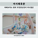 제일유도체육관(유도) | 국민육아템 하베브릭스 아기체육관 사용시기 체육관 고리 언제까지