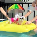 또바기스파글램핑 | 가평애견동반 또바기애견글램핑펜션 다녀온 후기