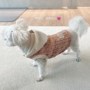 [강아지 옷] 두랑두랑 꽈배기 후드 니트 핑크