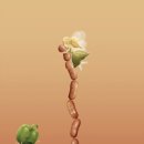 강남-037 이미지