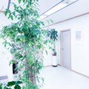 목동서로 이미지