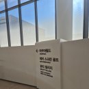 아쿠아필드 | 설연휴에 방문한 [고양 스타필드 아쿠아필드] 후기