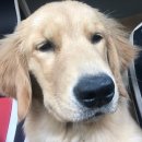 쿨스타스 이미지