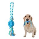 덴탈투유 이미지