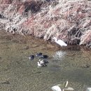 지사천 이미지