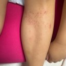 준공청소;인테리어청소;폐기물처리;전문업체;하다클린 | 30년 구축 아파트 올수리 리모델링 후기 9. 셀프 준공 청소 입주청소 셀프로 하기